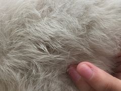 -星巴克(杭州桐庐利时广场店)
