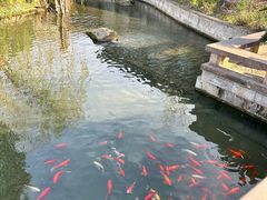 -绍兴大禹开元观堂-若耶厅