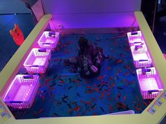 -龟与熊猫宠物公园(南坪店)