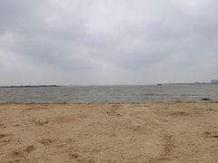 -瑶湖郊野森林公园