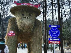 -洛阳白云山景区