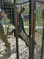 -萌宠亲子动物乐园(槐房万达店)