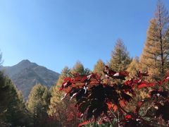 -龙道沟景区