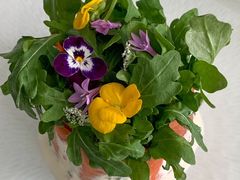 -唐廊烤鸭店(工体店)