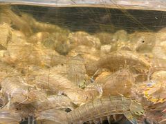 -龙宴海鲜城(经中路店)