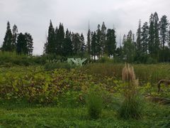 -百翠山居.家飨餐厅