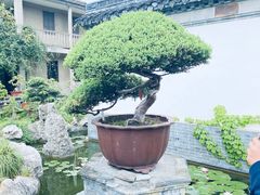 -水绘园