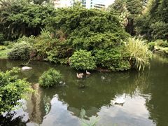 -九龙公园