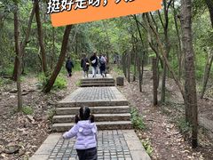 -紫金山山顶公园