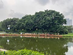 -广州长隆飞鸟乐园