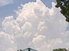 -合肥野生动物园