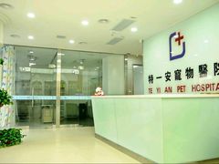 -特一安24小时宠物医院·骨科·中兽医
