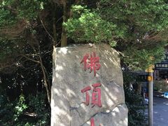 -普陀山风景区-佛顶山