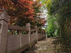 -杭州半山国家森林公园