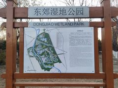 -东郊湿地公园