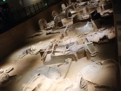 -洛阳周王城天子驾六博物馆