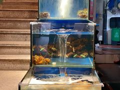 -海煮叹鲜·粥底火锅·港式海鲜打边炉(赛银国际广场店)
