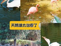 -云南野生动物园