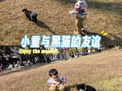 -荔湾湖公园
