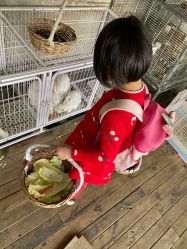 -小蜜蜂农场(凯德七宝购物广场店)