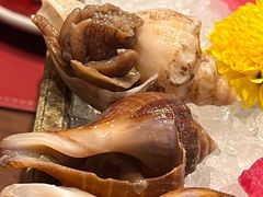 -松涛日本料理