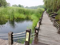 -苏州太湖湖滨国家湿地公园
