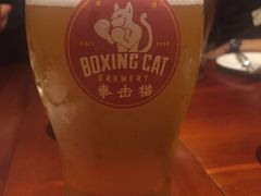 -Boxing Cat Brewery拳击猫精酿啤酒馆(永福店)