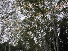 -钟山体育运动公园