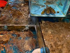 水产区-谊荣海鲜大牌档(石湖店)