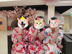 -汤里来温泉