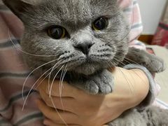 -客栈猫舍(中央北路店)