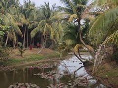 -白沙门生态公园