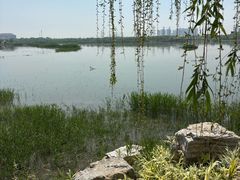 -天津东丽湖风景区