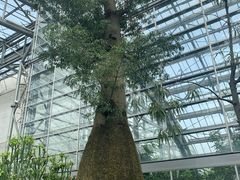 -南山植物园
