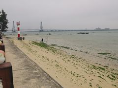 -北海金海湾红树林生态旅游区