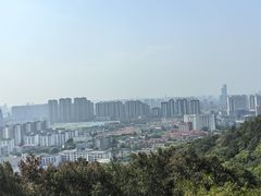 -惠山国家森林公园
