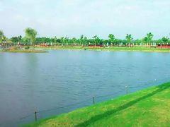 -明珠湖天鹅苑·农家菜馆