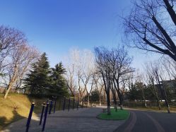 点击看大图 -酷酷兔少儿拓展天地