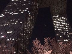 -中央广播电视总台(光华路办公区)