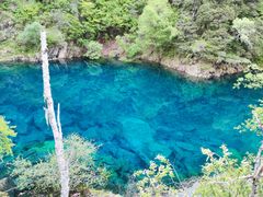 -叠溪松坪沟景区