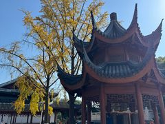 -上海东林寺(金山区)