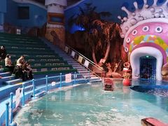 -烟台海昌鲸鲨海洋公园