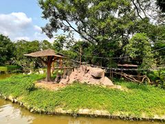 -深圳野生动物园