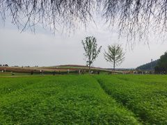 -径山花海