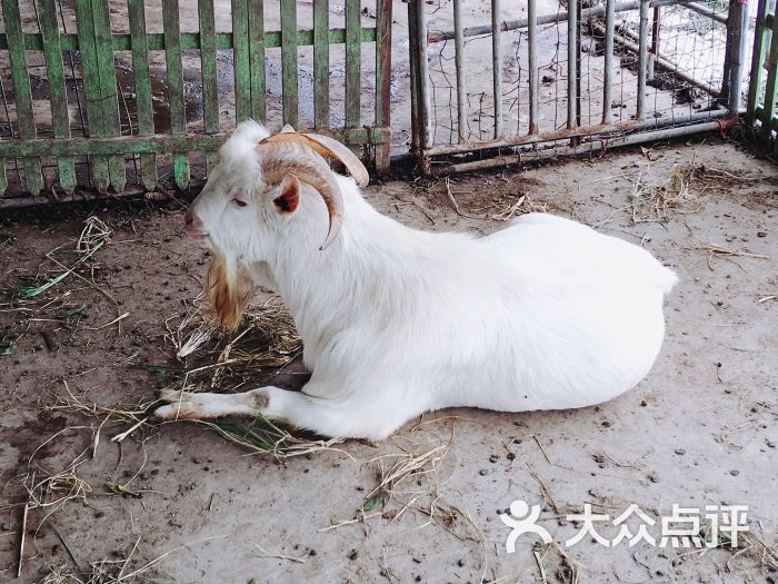 强丰生态农庄-图片-上海休闲娱乐-大众点评网