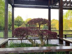 -长广溪湿地公园