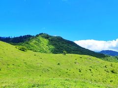 -卧龙自然保护区