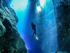 -成都浩海立方海洋公园