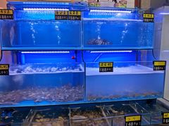 水产区-冯姐生蚝(长隆横琴店)
