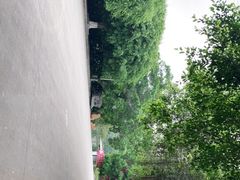 -水濂山森林公园